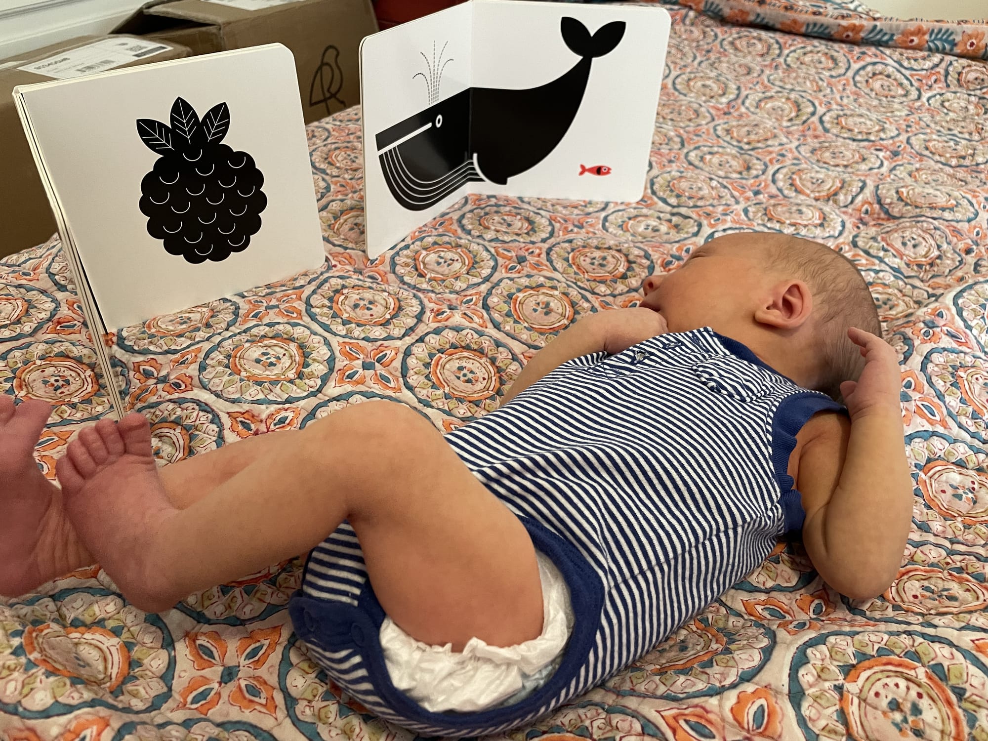 Baby looking at a high-contrast black and white book during tummy time